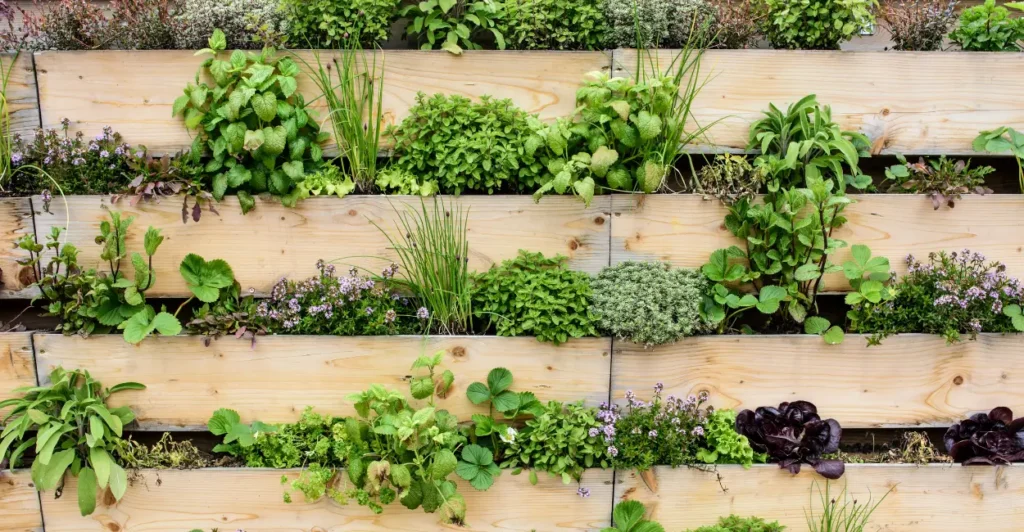 como criar um jardim vertical com paletes