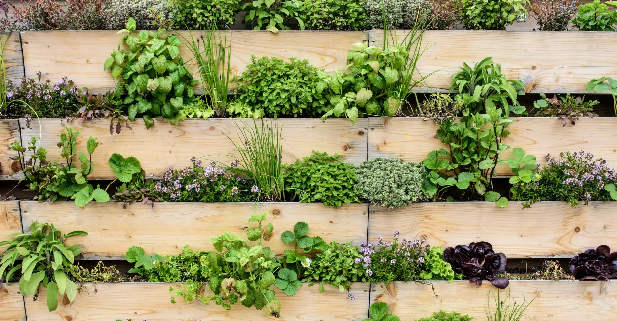 como criar um jardim vertical com paletes