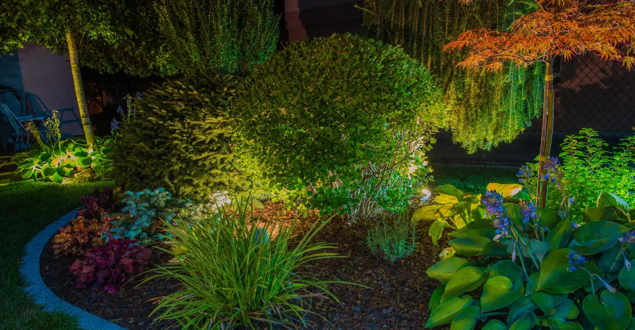 plantas resistente para jardim externo guia