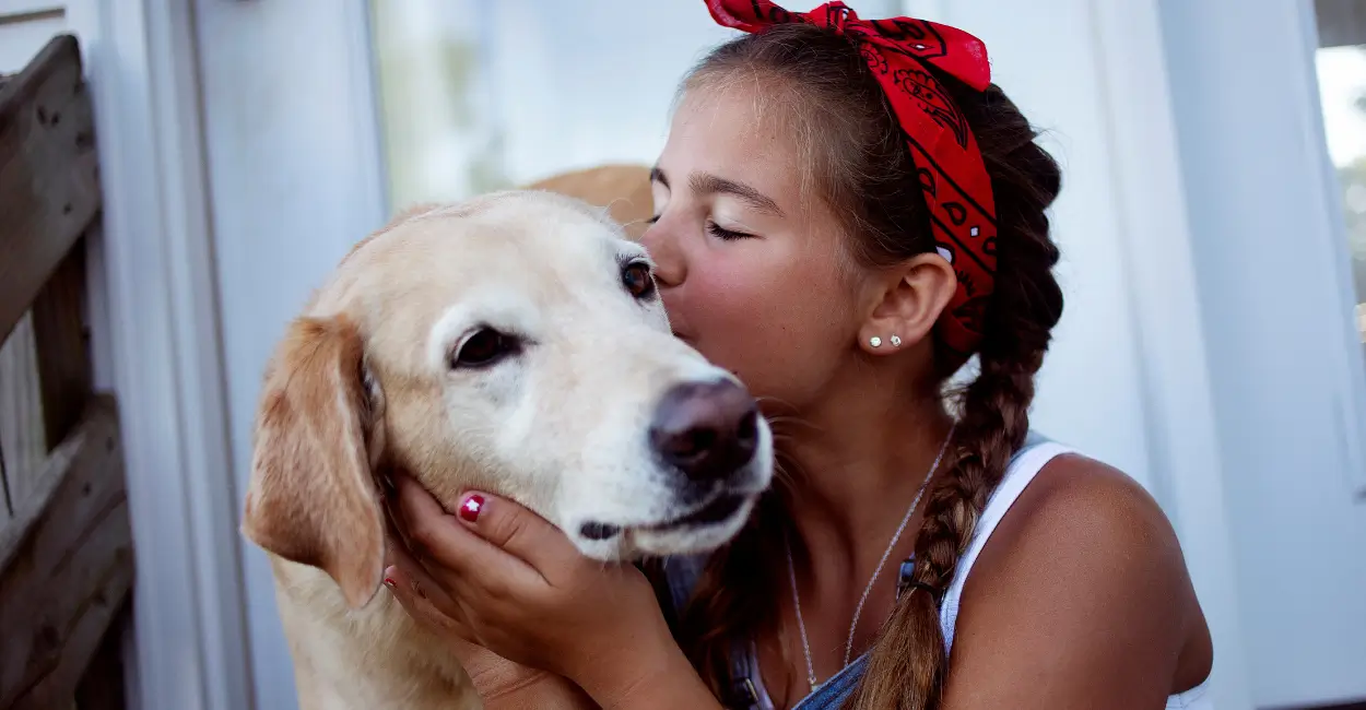 como os cachorros escolhem sua pessoa favorita