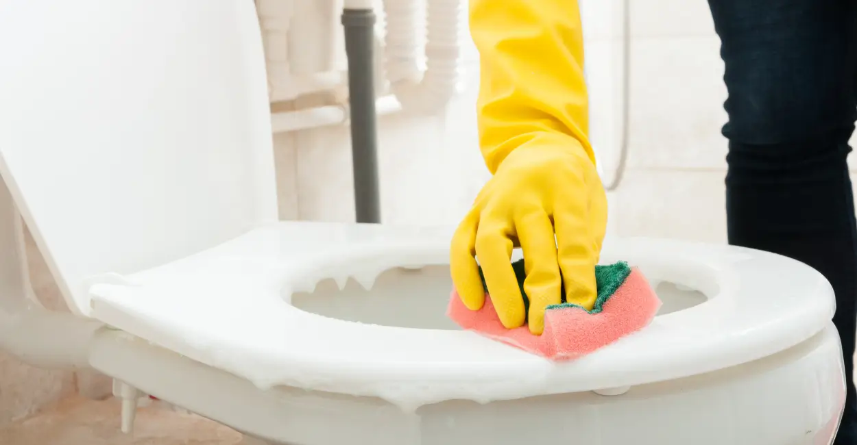 dicas para eliminar mau cheiro do banheiro