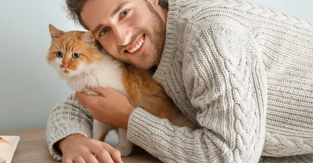 sinais de demonstração de amor pelos gatos