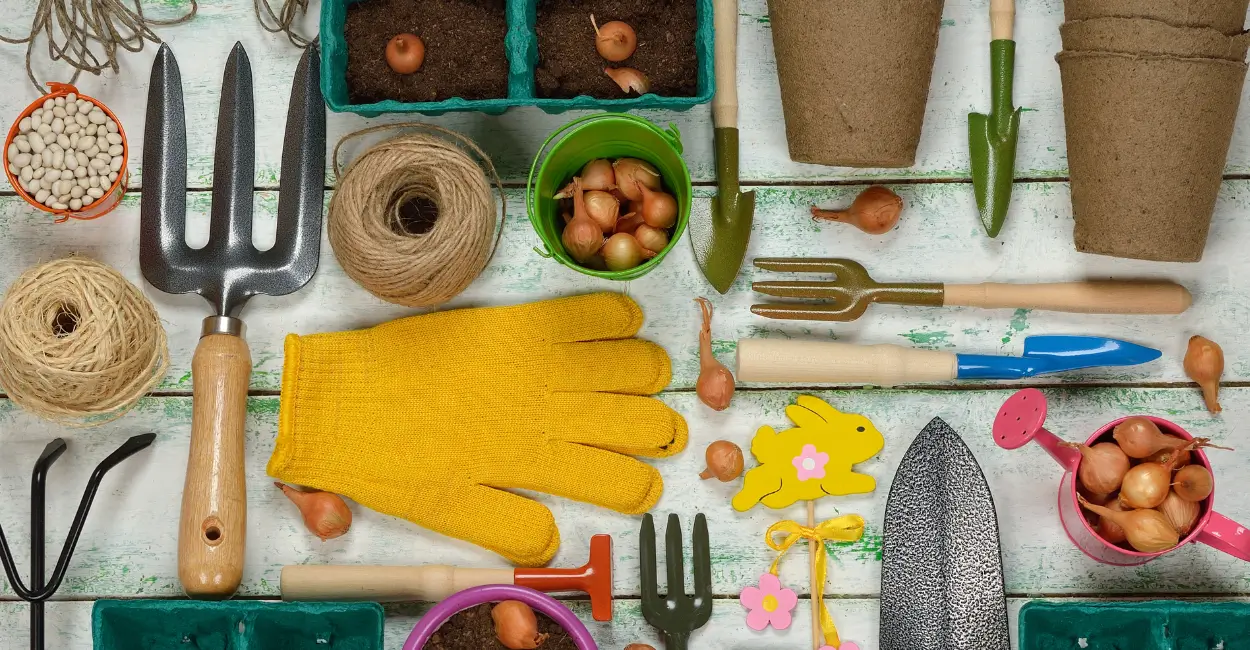 Guia para ter as ferramentas certas para jardinagem em casa