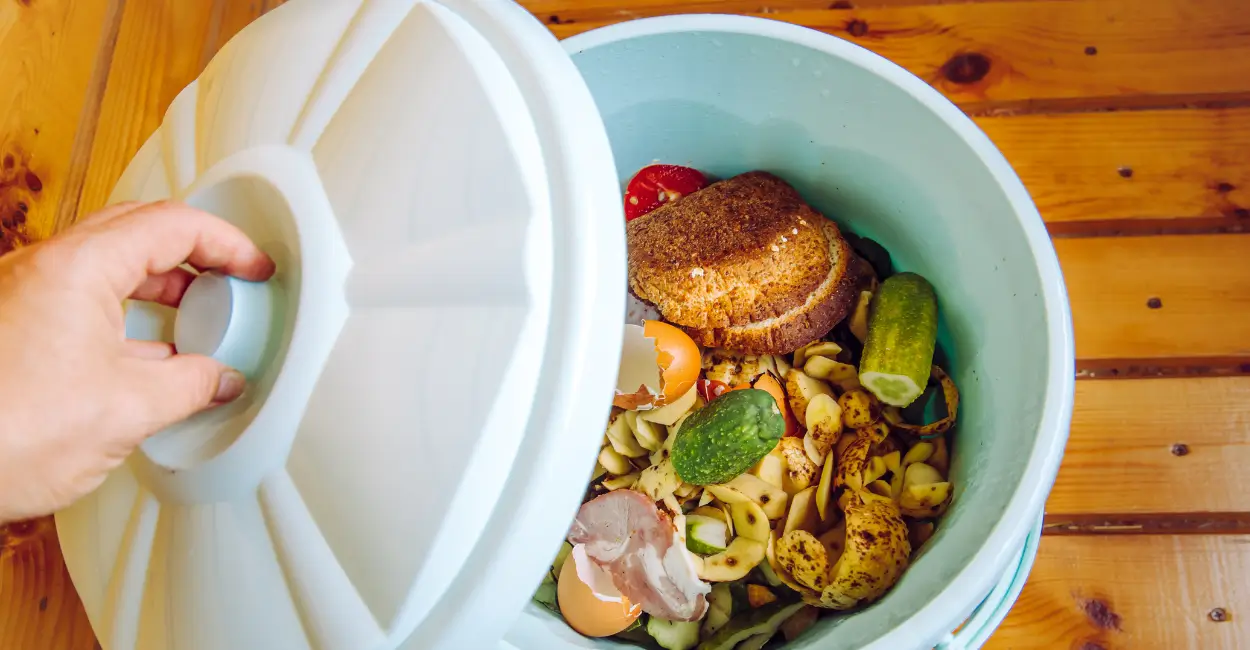 Truques para reduzir desperdício de alimentos em casa