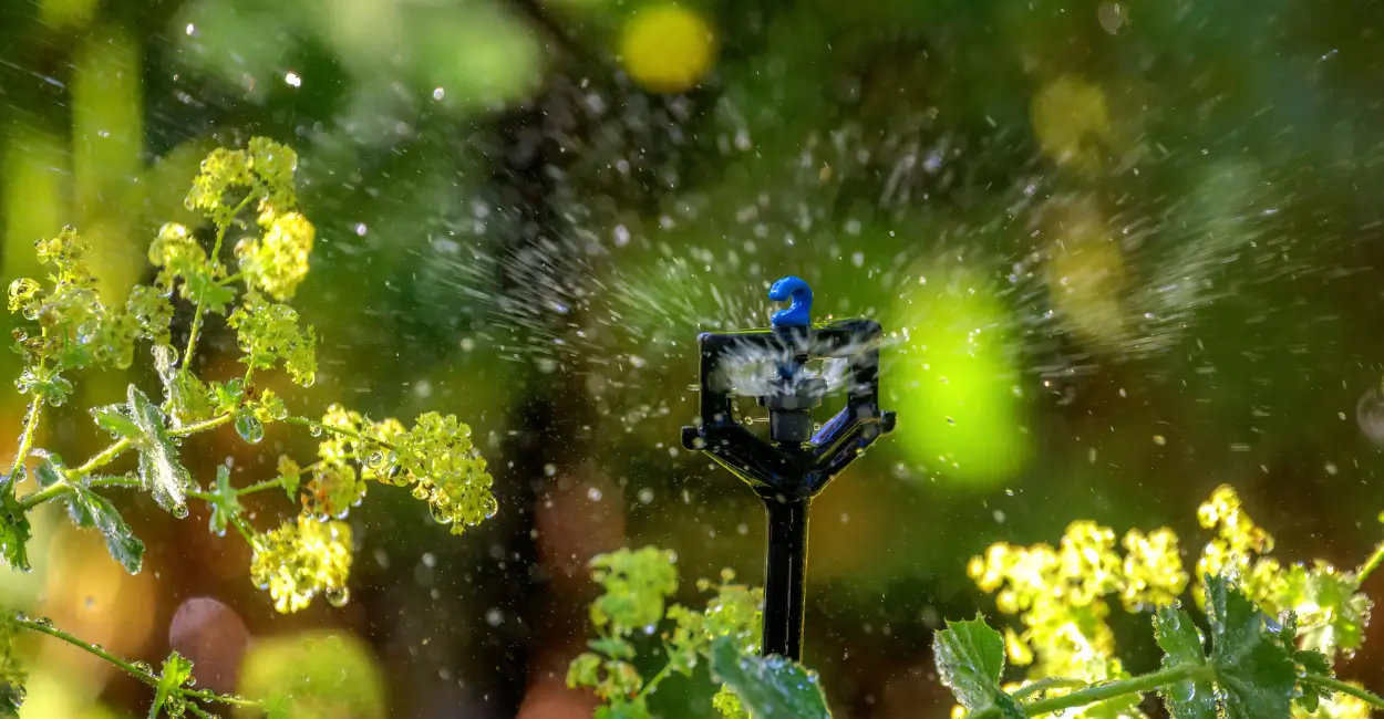 Como controlar irrigação num jardim caseiro