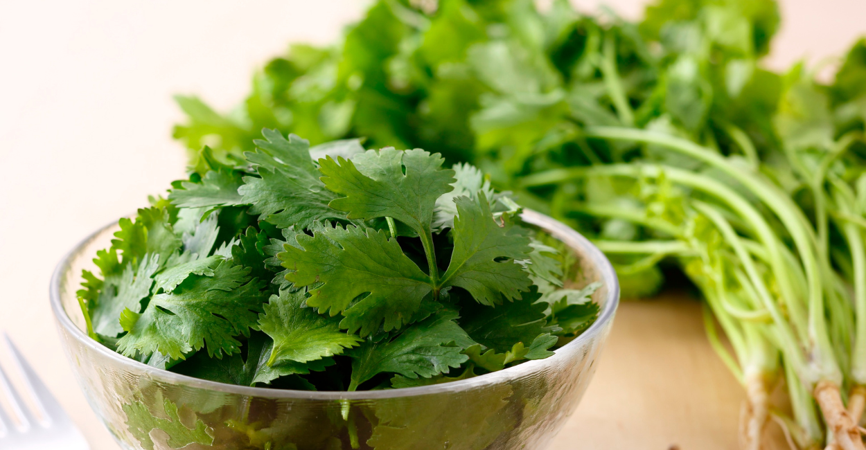 Mini-horta na cozinha, plantada sem terra