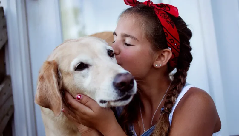 como os cachorros escolhem sua pessoa favorita