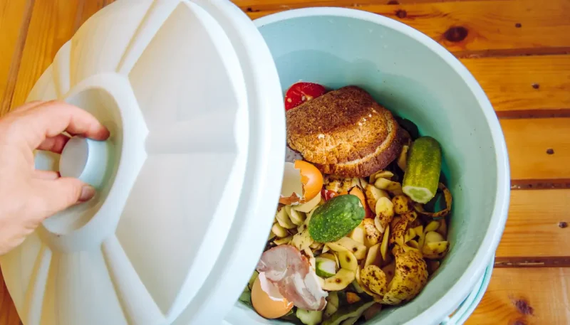 Truques para reduzir desperdício de alimentos em casa