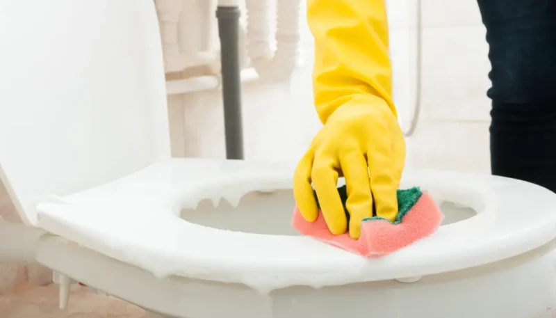 dicas para eliminar mau cheiro do banheiro