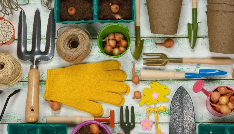 Guia para ter as ferramentas certas para jardinagem em casa