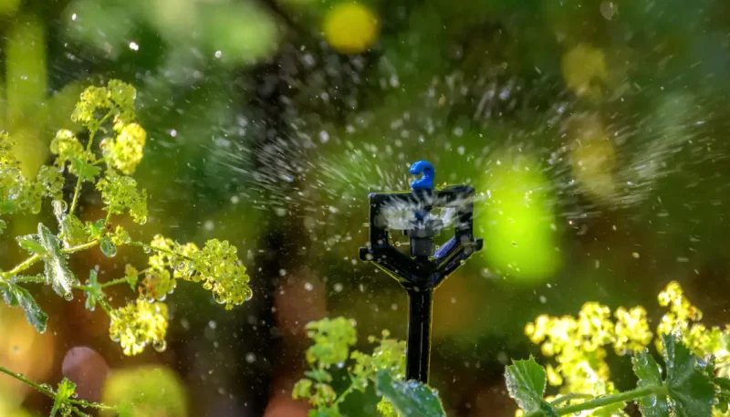 Como controlar irrigação num jardim caseiro