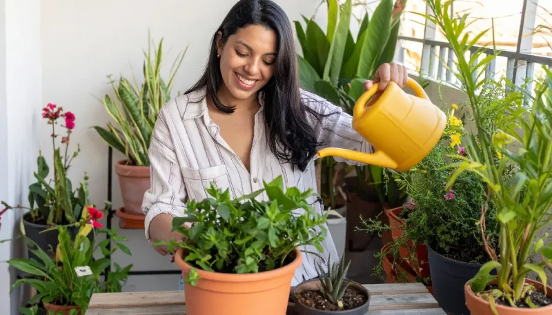 Jardinagem terapêutica com jardim sensorial