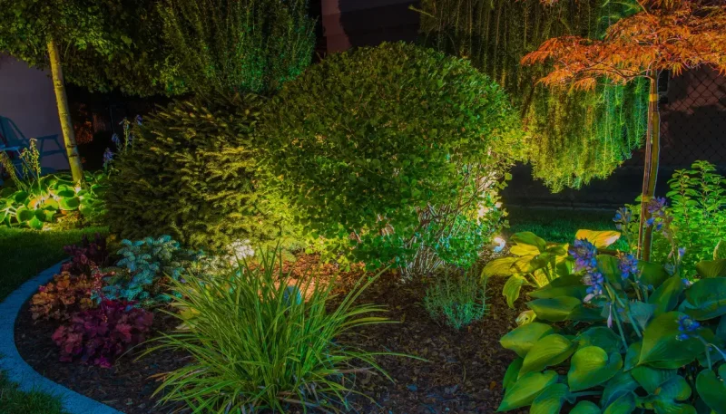 plantas resistente para jardim externo guia