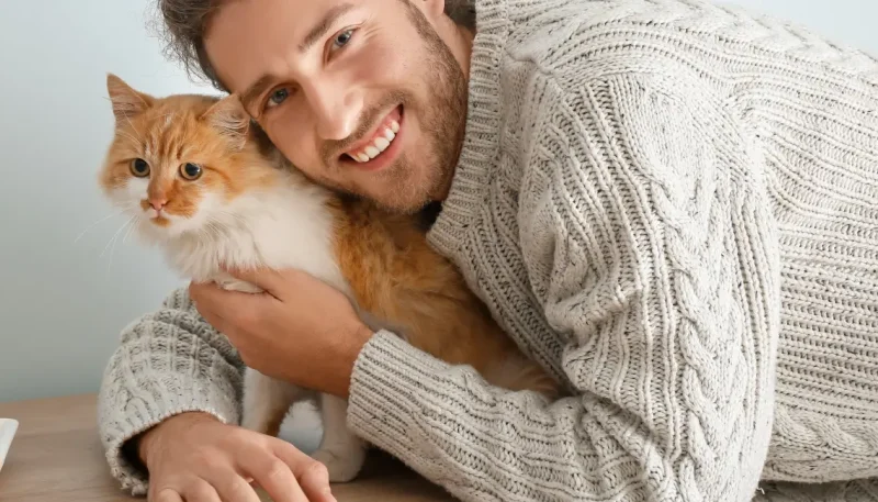 sinais de demonstração de amor pelos gatos